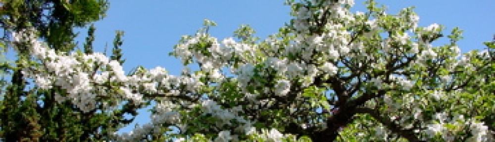 Grundejerforeningen Ravnsnæs