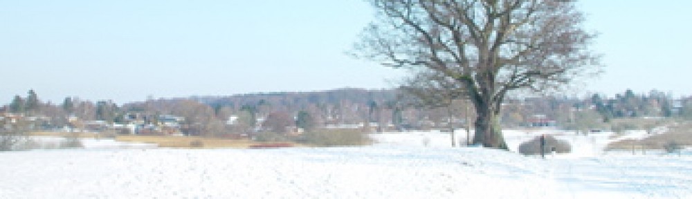 Grundejerforeningen Ravnsnæs