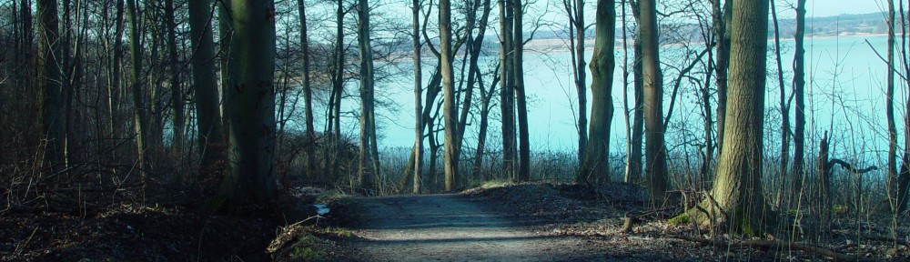 Grundejerforeningen Ravnsnæs