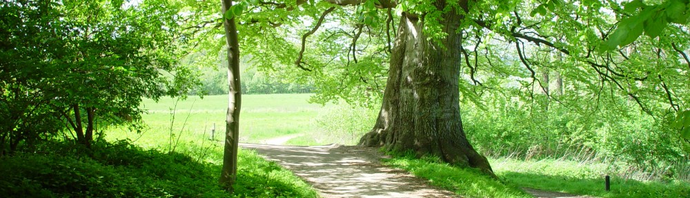 Grundejerforeningen Ravnsnæs