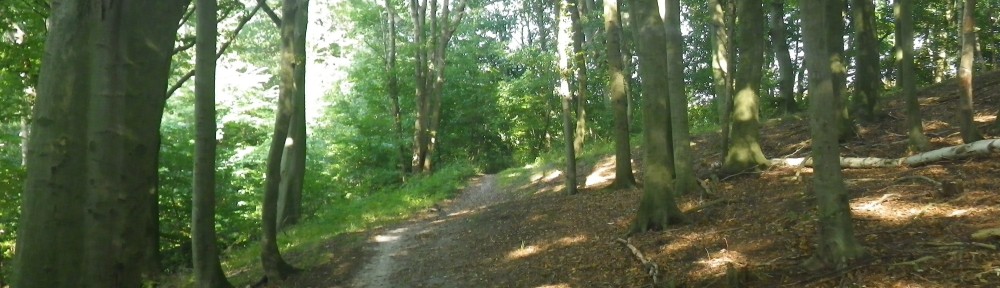 Grundejerforeningen Ravnsnæs