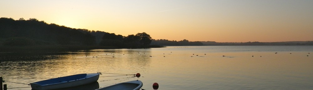 Grundejerforeningen Ravnsnæs
