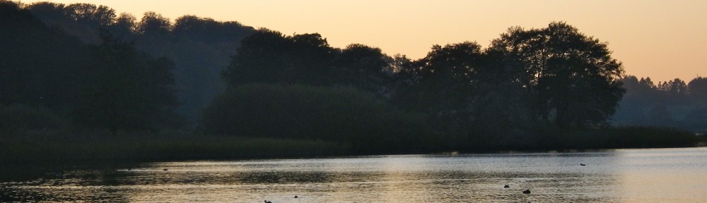 Grundejerforeningen Ravnsnæs